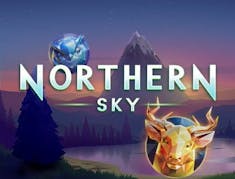 Northern Sky logo