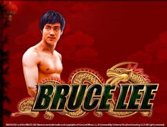 Bruce Lee logo