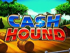 Cash Hound logo