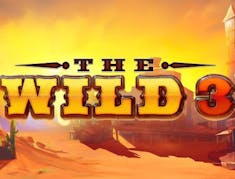 The Wild 3 logo