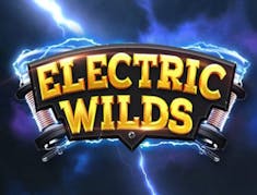 Electric Wilds logo
