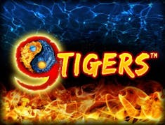 9 TigersTM logo