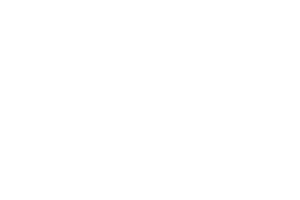 Foxium logo