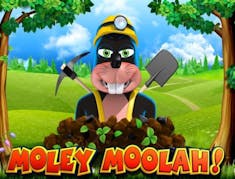 The Moley Moolah logo