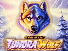Fire Blaze: Tundra Wolf logo