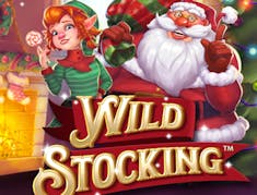 Wild Stocking logo