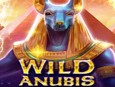 Wild Anubis logo