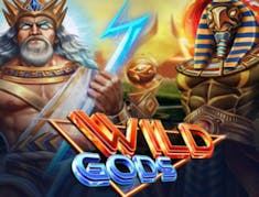 Wild Gods logo