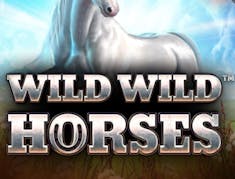 Wild Wild Horses logo