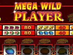 Mega Wild Player logo