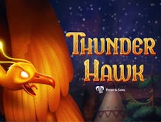 Thunderhawk logo